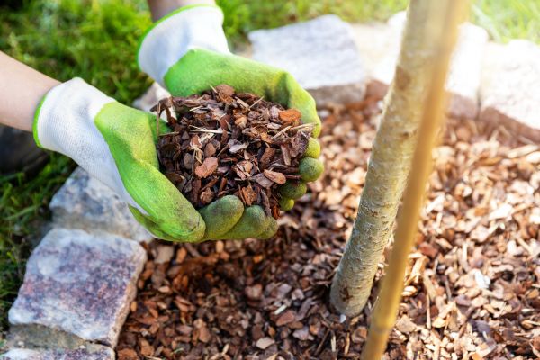 Tree Bark Delivery in San Ramon