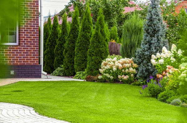 Spring Landscaping in San Ramon