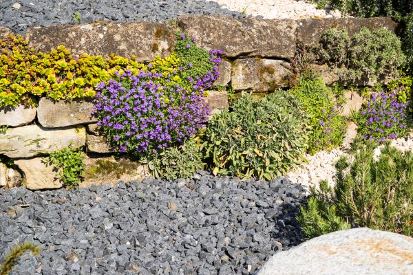 Landscaping Rocks Installation in San Ramon