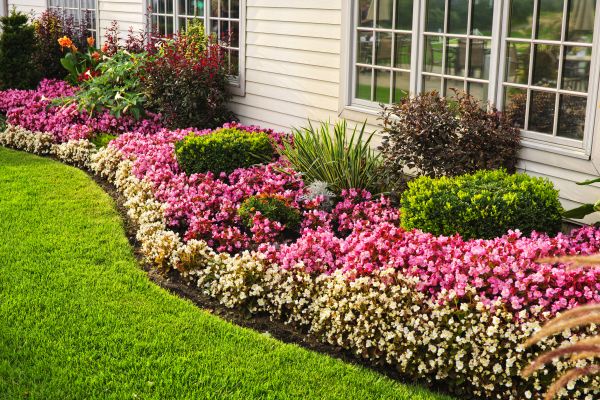 Garden Landscape Design in San Ramon