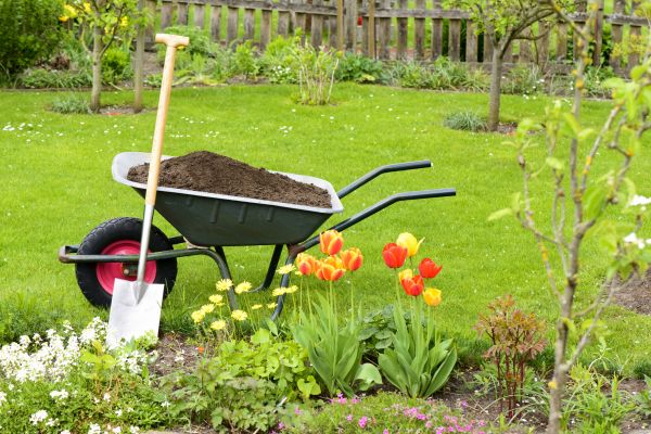 Spring Yard Renovation in San Ramon