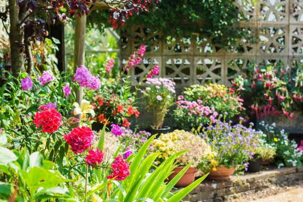 Spring Garden Maintenance in San Ramon