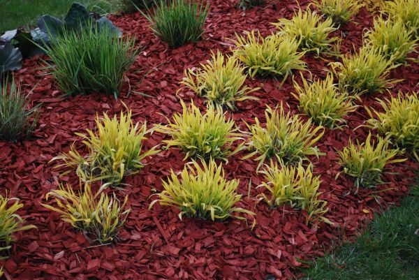 Red Mulch Installation in San Ramon