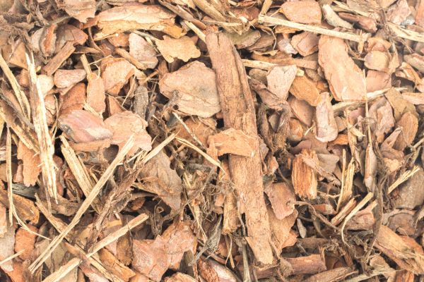 Bark Mulch Installation in San Ramon