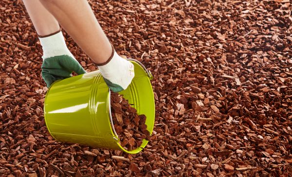 Wood Chip Landscaping in San Ramon