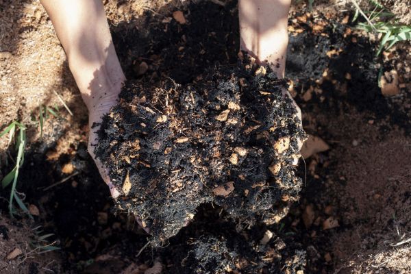 Organic Mulch Installation in San Ramon