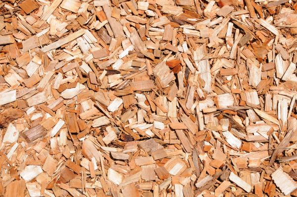 Cypress Mulch Spreading in San Ramon
