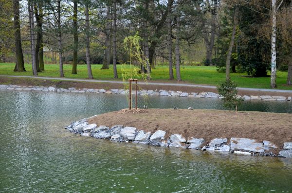 Pond Landscaping Service in San Ramon