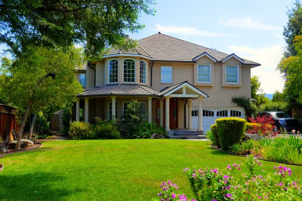 Large Yard Landscaping in San Ramon