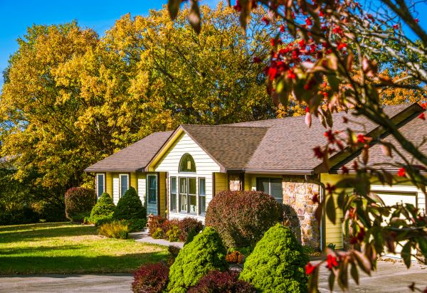 Ranch Landscaping in San Ramon