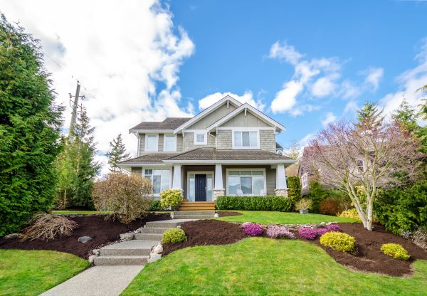 Landscaping Replacement in San Ramon