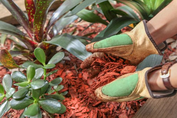 Residential Mulching in San Ramon
