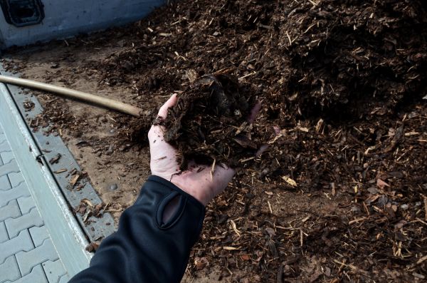Condo Mulching in San Ramon