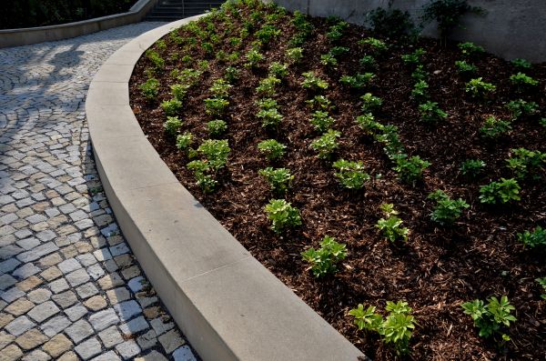 Commercial Mulching in San Ramon
