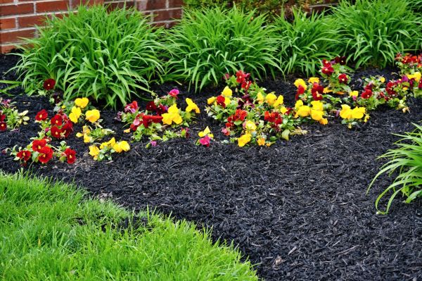Apartment Mulching in San Ramon