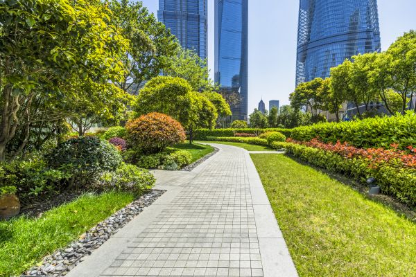 Commercial Landscaping in San Ramon