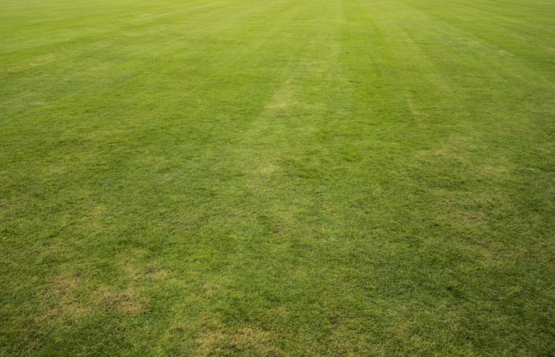 Lawn And Garden Installation